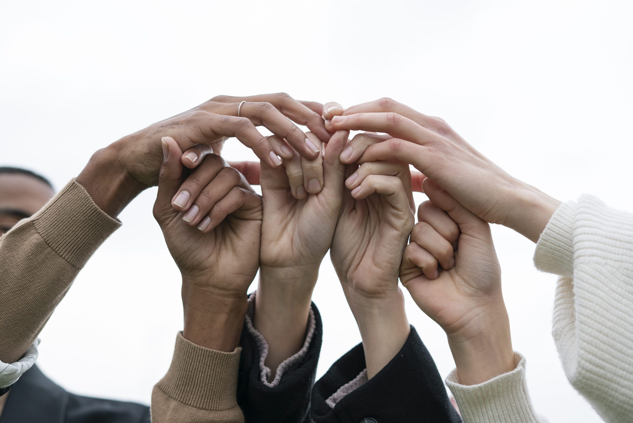 Ley de Igualdad (Disposiciones Organizativas)